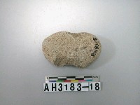 藏品(小砝碼型石網墜)的圖片
